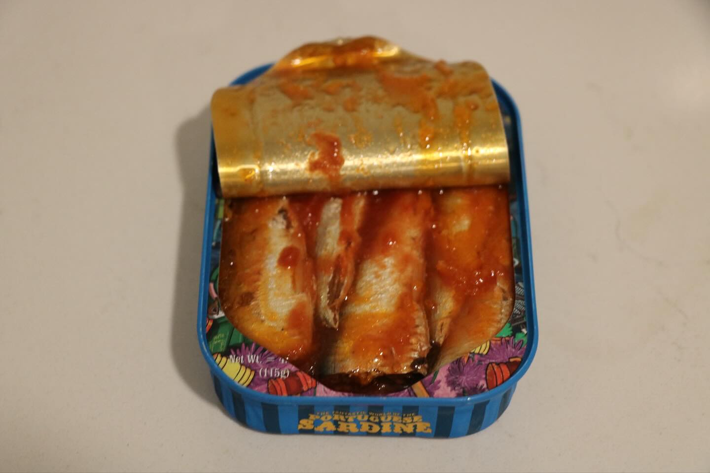 Sardine tin photo 2